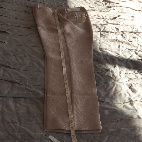 Ann Taylor Shimmery Pink Pants - Picture 16 of 16